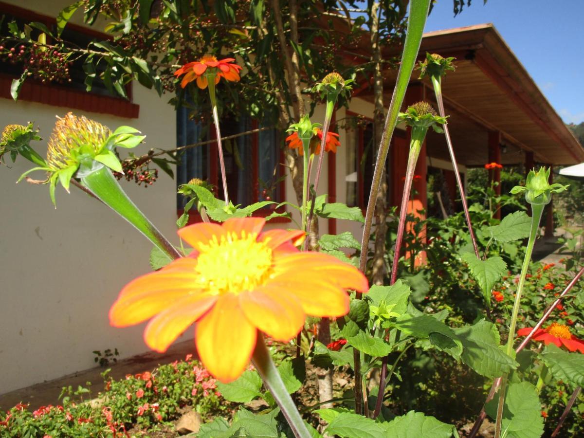 Casa Aquiares Lodge Posada Rural Turrialba Eksteriør billede