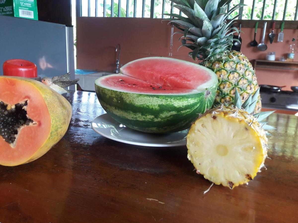 Casa Aquiares Lodge Posada Rural Turrialba Eksteriør billede