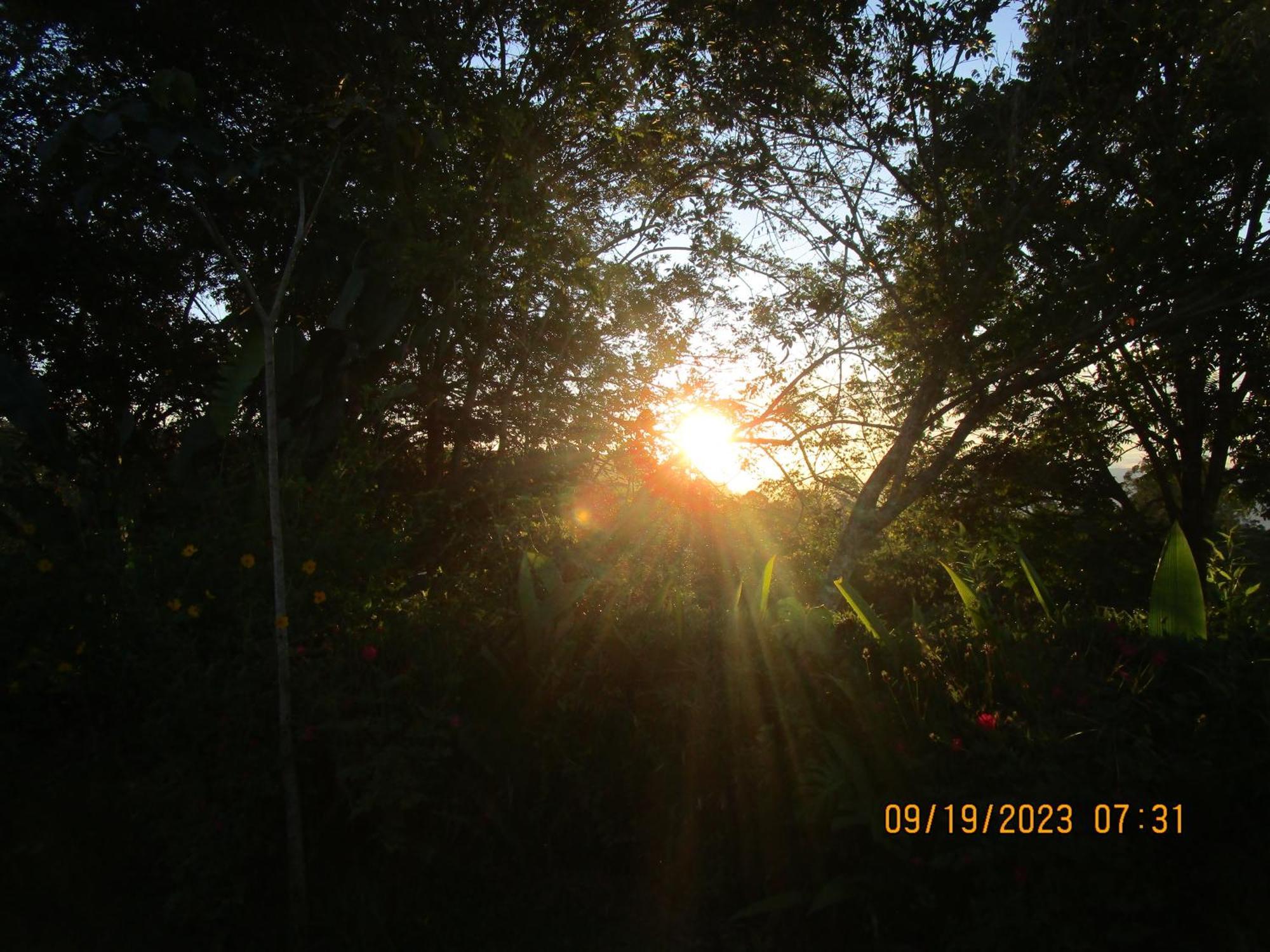 Casa Aquiares Lodge Posada Rural Turrialba Eksteriør billede